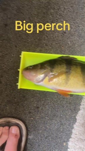 Mike Anderson (@mike.anderson210x)’s videos with original sound - Mike Anderson