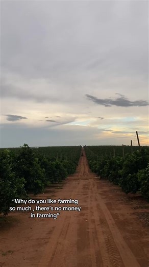 Boerdery #boer #boerboel @De Wet
