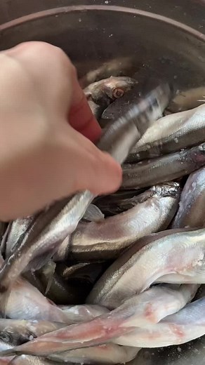 Fresh Fish Cooking Techniques: From Scaling to Frying