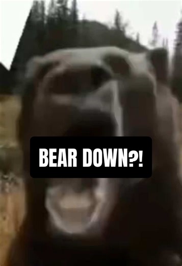 Wolves and Bears: Timberwolves vs Grizzlies Recap