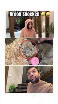 Ducky fans send A Rat Giift Fro Ducky Bhai😂😂 #duckybhai #duckybhivlogs #aroobjatoi