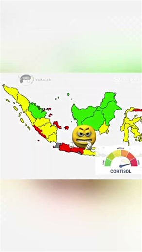 indonesia forest cortisol #geography #map #shorts
