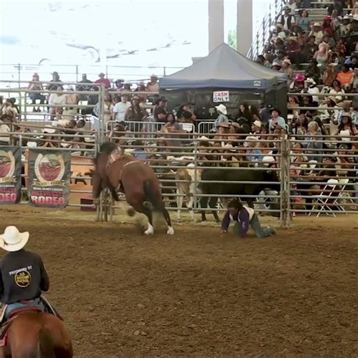 Bucking bronc riding buckaroo #shorts