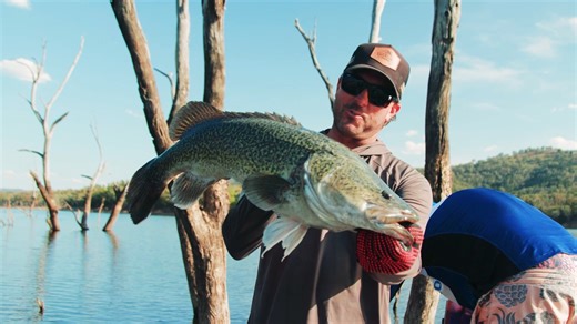 1.5K views · 369 reactions | Active target technology has changed the way we fish, especially for species such as Murray Cod that can often be tricky to find particularly in large bodies of water. Nige and Nicko from Tackling Australia take us along on a recon mission where they explore their Lowrance unit before landing an epic little cod  Check it out! | BCF - Boating, Camping, Fishing | Facebook