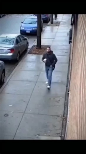 CHORNY.2ᴏ2✴️ on Instagram: "Two elephant siblings teasing each other in the wild might look playful, but it's actually a tiny glimpse into how deeply intelligent and expressive these gentle giants are becoming in front of human eyes. Their back-and-forth nudges, mock chase, and cheeky bumps follow the same idea behind natural social bonding, where every movement is a message and every reaction is a story. Just like adaptive behavior in the animal world, their little "arguments" shift tones, mood