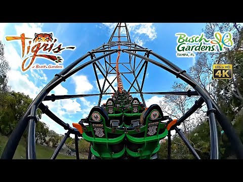 2025 Tigris Roller Coaster On Ride 4K POV Busch Gardens Tampa
