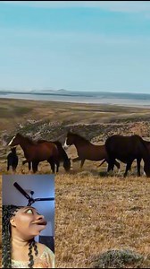 46K views · 263 reactions | Horse aiming his target with his extremely vibrant staff of office #animal #donkey #fblifestyle #happybirthday #horse | Chi’s Blog | Facebook