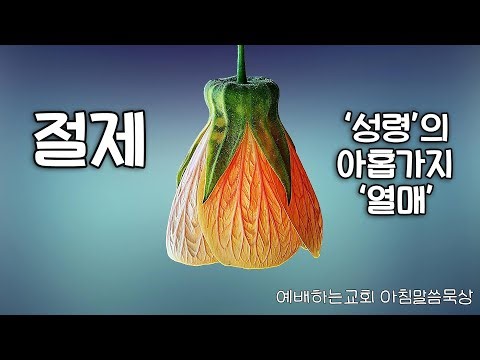 예배하는교회 / 아침말씀묵상 / 성령의 아홉가지 열매 / 절제 3 / 절제는 할 수 있지만 하지 않는 것입니다 / 서동일 목사