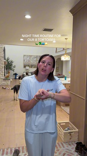 Nighttime Routine for Our 8 Tortoises: Mrs. Clause Care