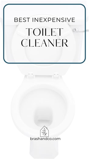 23K views · 100 reactions | Did you know HYDROGEN PEROXIDE is: Antifungal, antibacterial, antiviral, is a natural bleach, is a powerful cleaner that can cut through stains + grime AND is inexpensive? Your toilets will thank you. #momtips #cleaninghacks #cleaningtips #cleaningproducts #cleaninghouse #smarternotharder #hydrogenperoxide | Brash + Co | Facebook