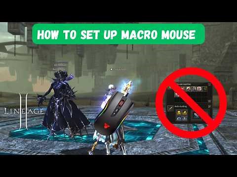 Macro Mouse Will Change Everything! How Auto-Hunting in Lineage 2 Became Unstoppable!