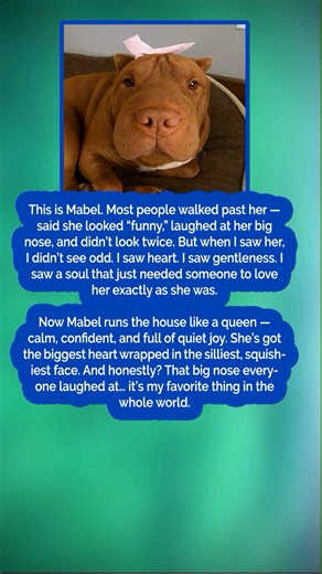 73K views · 6.8K reactions | Get Inspired & Be Positive on Reels | Facebook