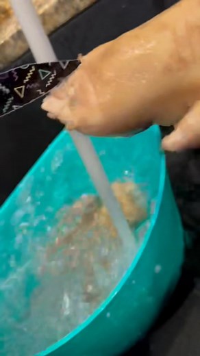 Pig feet prep Part 3. Shave or Scrape Hair • Use a small knife or razor to remove any leftover hair. • Check around the toes and joints carefully — those spots often hide fine hairs. #nannascorner #pigfeet I do not own the rights to this music | Donna DoesLife