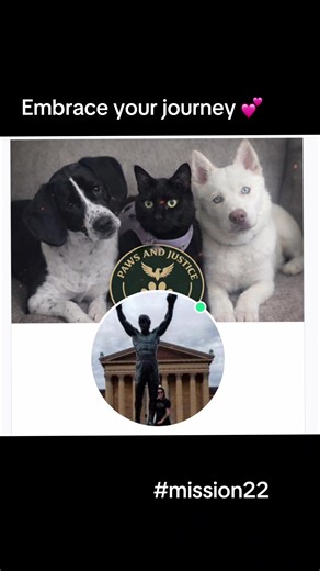 🛡️Paws & Justice Task Force🐾 (@vrpawops)’s videos with original sound - PhoenixRae