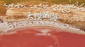 在巴丹吉林沙漠，沙山环抱着它的“海”。_哔哩哔哩_bilibili