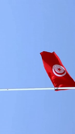 Military Training and Readiness in Tunisia