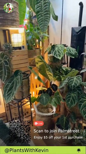 1.3K views · 24 reactions | Discover the best place to find affordable, rustic, home decor! I'll share why Ross is my go-to spot for stylish, budget-friendly crates that add a cool, urban jungle vibe to your space. Perfect for DIY projects and decor enthusiasts alike! #HomeDecor #DIYProjects #BudgetDecor #RossFinds #UrbanJungle #CheapDecor #HomeUpgrade #DecorIdeas #ThriftShopping | Kevin Torres | Facebook