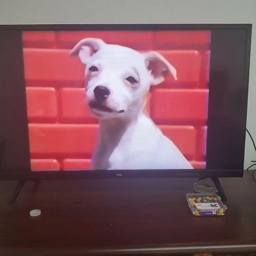 Nick Jr. Next Bumper June 13, 2025 Franklin & Gullah Gullah Island