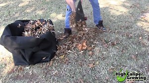 #Composting is an eco-friendly practice that reduces landfill, saves you money and delivers much-needed nutrients to supercharge plant growth. If you’re ready to learn how to compost, here are 6 simple steps to get you started! blog: https://goo.gl/RN2clX #GrowGoodthings | Smart Pots