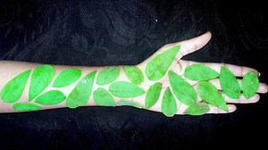 40K views · 671 reactions | How to apply full hand mehndi designs | Letest trick big leaf mehndi for Beginner | mehndi designs in this video tutorial i will show you step by step very easy mehndi design hope it's very helpful for beginners mehndi artist: Beautiful Henna | Beautiful Henna | Facebook
