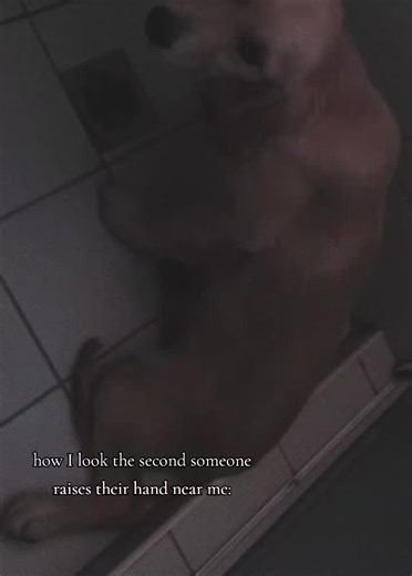 Understanding Fear Responses to Hand Movements