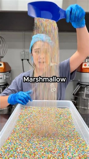 Day 11 of Adding Sprinkles to Marshmallow Batter! 🌈✨