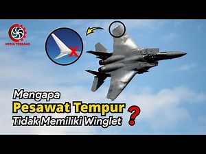 Mengapa Pesawat Tempur Tidak Memiliki Winglet❓