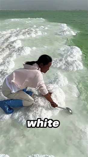 You'll absolutely fall in love with this breathtaking stretch of white sand