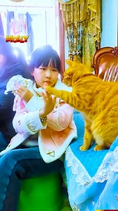 These cats take silliness to a whole new level😹🤦🏼‍♀️ | Molly