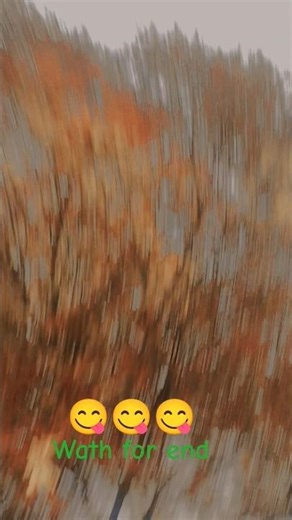 wath for and🤣🤣🤣