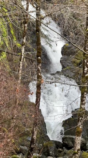 Wayne Alexander Beaton on Reels