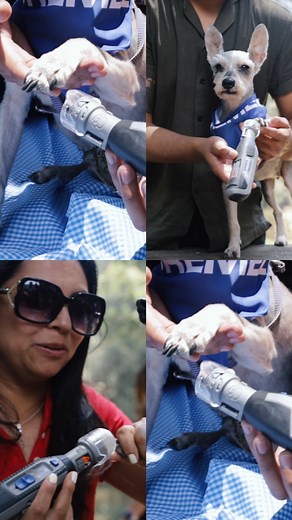 🐾 ¡Corta uñas sin estrés con la Dremel 7350 PET! 🔇✨ Silenciosa, sin vibraciones y fácil de usar. 🔥 15% de descuento en Amazon hasta el 31 de marzo 🔥 🛒 Cómprala aquí 👉 https://bit.ly/petgrooming7350 | Dremel