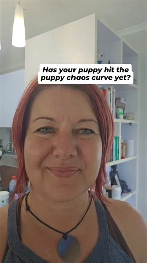 Sarah Rutten | Canine Behaviour Specialist & Best Selling Author on Instagram: "Has your puppy hit the puppy chaos curve yet? "What is that?", I hear you ask. So you brought home a puppy. They were all snuggles, naps, and adorable confusion. You thought, “Well this is delightful — I was born for this.” And then one day... the biting became relentless, they peed on the rug again, and barked at a plastic bag for 10 minutes straight. Yes, my friends - you've hit the puppy chaos curve. This phase us