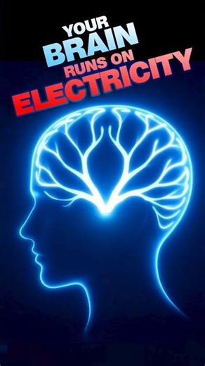 This Is How Your Brain Really Works ⚡🧠 (Biology Fact) #brainfacts #shorts