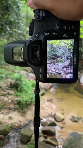 Canon 550D Review: Best Budget Camera for Beginners