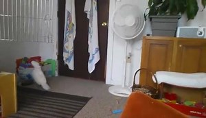 40 reactions · 7 comments | Non-youtube version of lunch with Max | Mr Max | Facebook