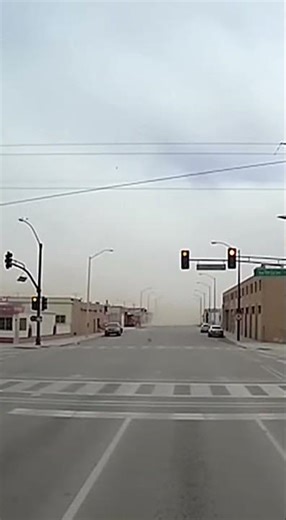 I Left My Security Camera Running and Something Moved in the Frame