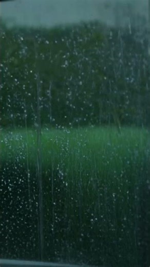 Soft Rain & Wind 🌧️🍃 Calm Relaxing Nature Ambience | BERDILAS Rain ASMR
