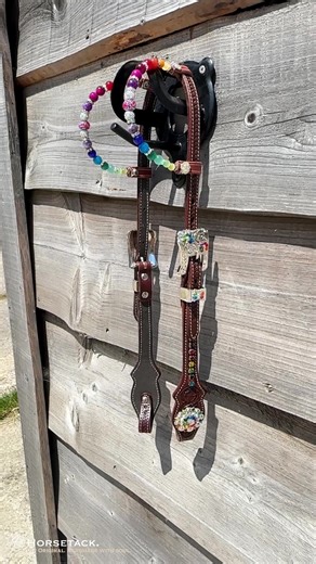 Discover the Magic of Rainbows in Equestrian Gear