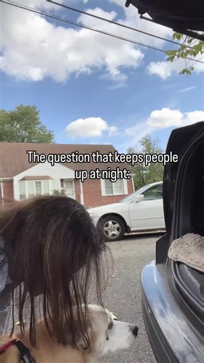 The question that keeps people up at night: What if I do this too soon? What if I’m wrong? That fear is heavy. And it’s more common than anyone talks about. When you love a dog deeply, of course you want more time. Of course you second guess yourself. Of course you replay the days and wonder if you missed a sign. But end of life decisions are rarely about one moment. Not one bad afternoon. Not one hard day. They’re about the overall pattern. How much effort it takes for them to move through the 