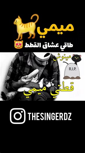 قطتي ميمي - ريمي: بروديات مضحكة من الجزائر