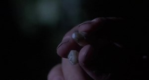 Howling II .... Your Sister Is A Werewolf / Aullidos 2 1984 Christopher Lee, Sybil Danning | Mak Movs