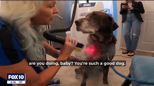 As Seen on Fox News — Dogs Love Chill! 🐶❄️ Everyone loves cryo because it makes their aches pains go away! Cryo instantly reduces inflammation and interrupts pain receptors with cold. Cryo is included in our monthly passes & no-expire packages. 🔥Learn more via our profile —use link in bio! 📲 Call/text (732) 945-1320 📍 Red Bank #chillcryotherapy #centraljersey #mountainlakesnj #newprovidencenj #redbanknj | Chill Cryotherapy - Red Bank
