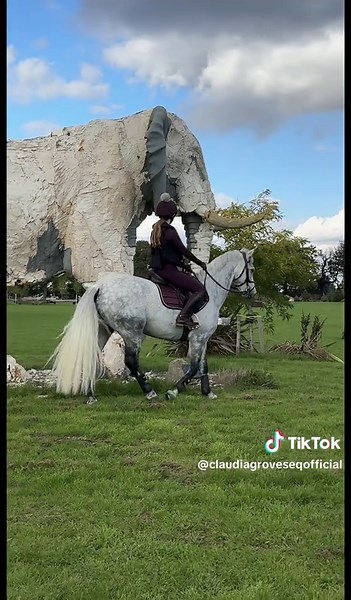 Monkey and Elephant Friendship at Boomerang