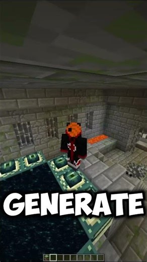 Minecraft Rarest Seed ⛏💎