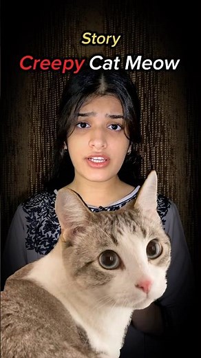 Creepy Cat Meowing strange story! #shorts #youtubeshorts