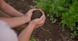 Connected to the earth, hands connected with soil in hand