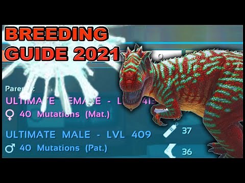 Ark Breeding Guide | COMPLETE Ark Guide | Upgrade With Mutagen & Breeding for ULTIMATE Stats!