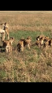 19K reactions · 206 shares | This is Tanzania, home of Great...