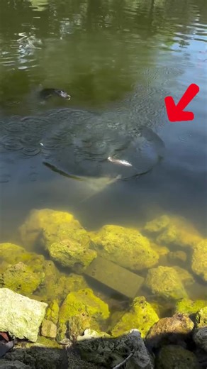 Explore Underwater Secrets: Fishing and Ocean Adventures